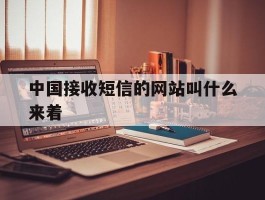 中国接收短信的网站叫什么来着