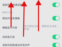 苹果手机怎么样设置不接收短信功能