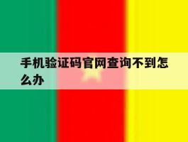 手机验证码官网查询不到怎么办