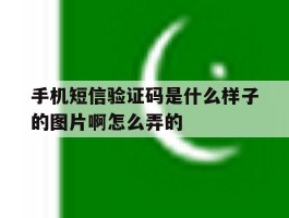 手机短信验证码是什么样子的图片啊怎么弄的