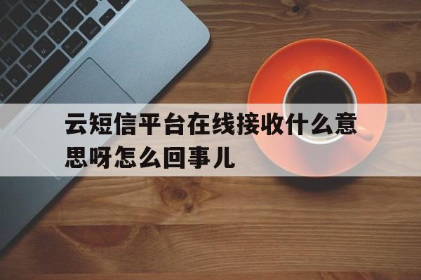 云短信平台在线接收什么意思呀怎么回事儿 云短信平台在线接收什么意思呀怎么回事儿