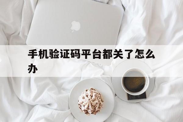 手机验证码平台都关了怎么办 手机验证码平台都关了怎么办