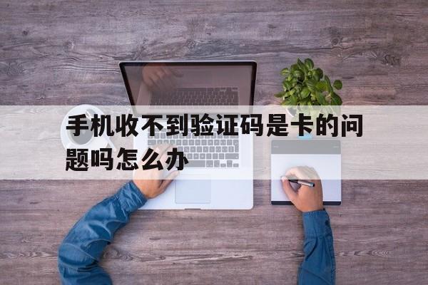 手机收不到验证码是卡的问题吗怎么办 手机收不到验证码是卡的问题吗怎么办