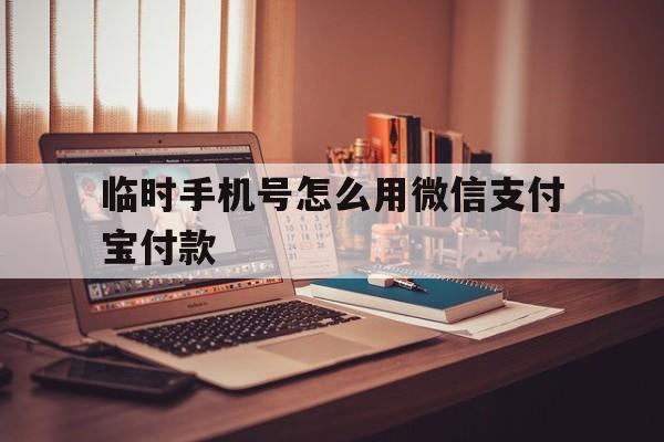 临时手机号怎么用微信支付宝付款 临时手机号怎么用微信支付宝付款