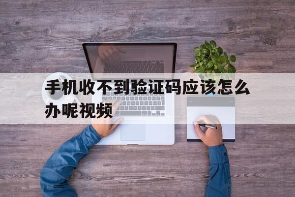 手机收不到验证码应该怎么办呢视频 手机收不到验证码应该怎么办呢视频