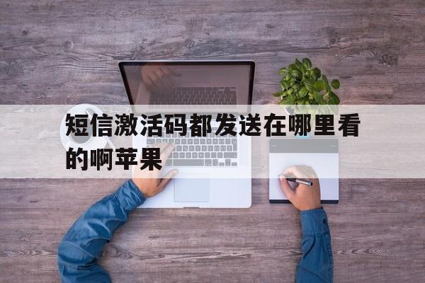 短信激活码都发送在哪里看的啊苹果 短信激活码都发送在哪里看的啊苹果