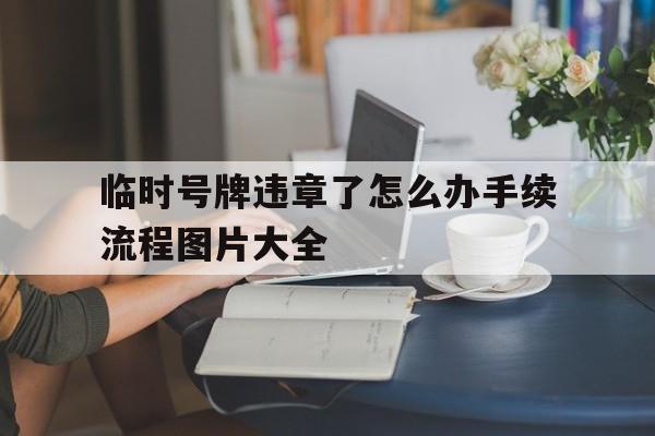 临时号牌违章了怎么办手续流程图片大全 临时号牌违章了怎么办手续流程图片大全
