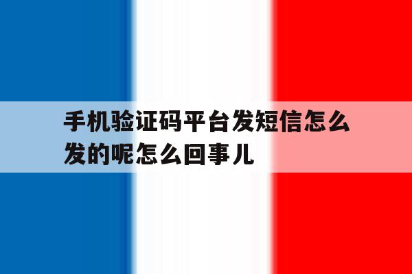 手机验证码平台发短信怎么发的呢怎么回事儿 手机验证码平台发短信怎么发的呢怎么回事儿