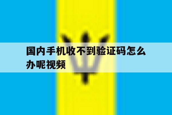 国内手机收不到验证码怎么办呢视频 国内手机收不到验证码怎么办呢视频