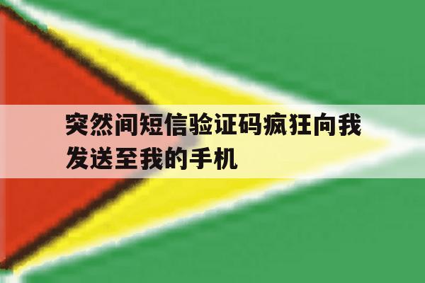 突然间短信验证码疯狂向我发送至我的手机 突然间短信验证码疯狂向我发送至我的手机