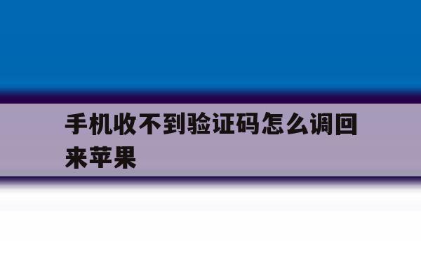手机收不到验证码怎么调回来苹果 手机收不到验证码怎么调回来苹果