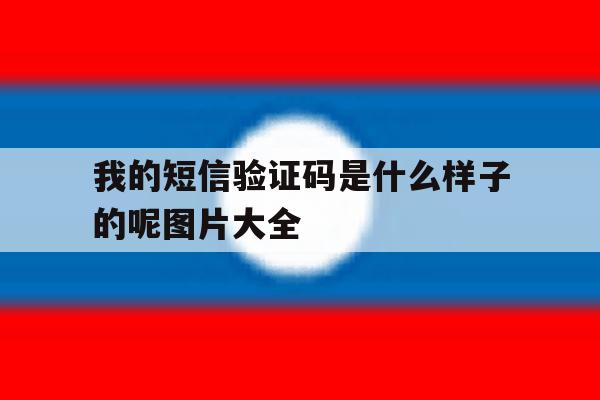 我的短信验证码是什么样子的呢图片大全 我的短信验证码是什么样子的呢图片大全
