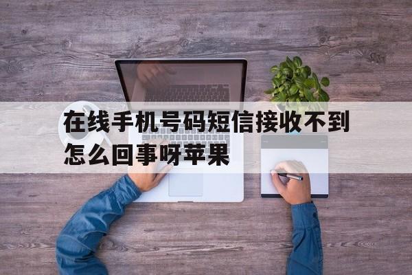 在线手机号码短信接收不到怎么回事呀苹果 在线手机号码短信接收不到怎么回事呀苹果