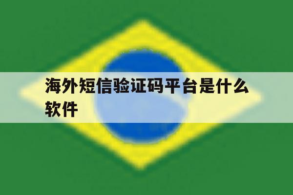 海外短信验证码平台是什么软件 海外短信验证码平台是什么软件