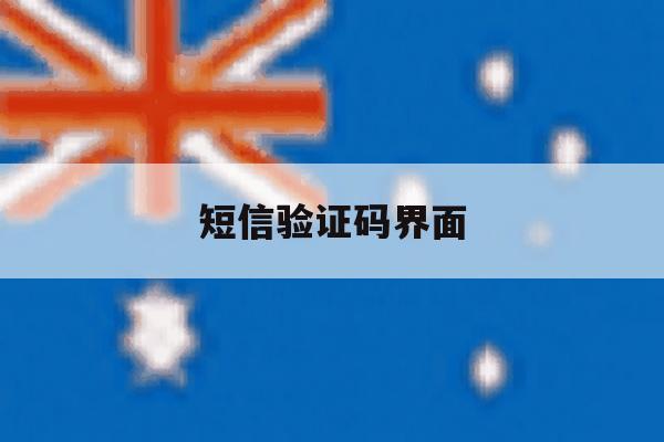 短信验证码界面 短信验证码界面