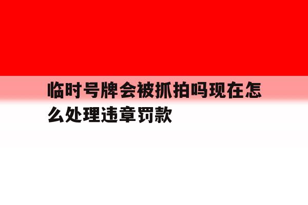 临时号牌会被抓拍吗现在怎么处理违章罚款 临时号牌会被抓拍吗现在怎么处理违章罚款