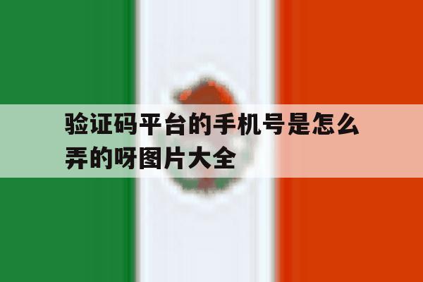 包含验证码平台的手机号是怎么弄的呀图片大全的词条 包含验证码平台的手机号是怎么弄的呀图片大全的词条