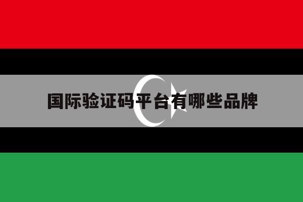 国际验证码平台有哪些品牌 国际验证码平台有哪些品牌