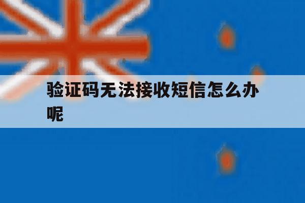 验证码无法接收短信怎么办呢 验证码无法接收短信怎么办呢