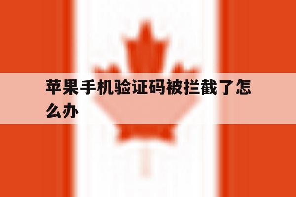 苹果手机验证码被拦截了怎么办 苹果手机验证码被拦截了怎么办