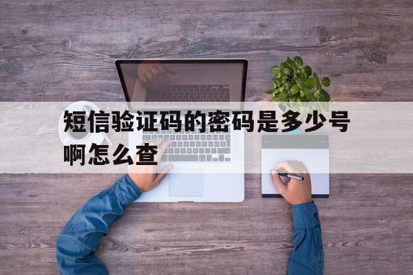 短信验证码的密码是多少号啊怎么查 短信验证码的密码是多少号啊怎么查