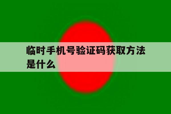临时手机号验证码获取方法是什么 临时手机号验证码获取方法是什么