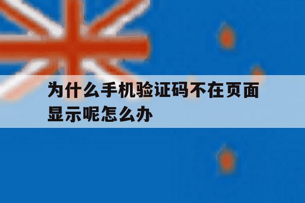 包含为什么手机验证码不在页面显示呢怎么办的词条 包含为什么手机验证码不在页面显示呢怎么办的词条