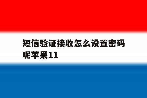短信验证接收怎么设置密码呢苹果11 短信验证接收怎么设置密码呢苹果11