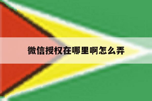 微信授权在哪里啊怎么弄 微信授权在哪里啊怎么弄