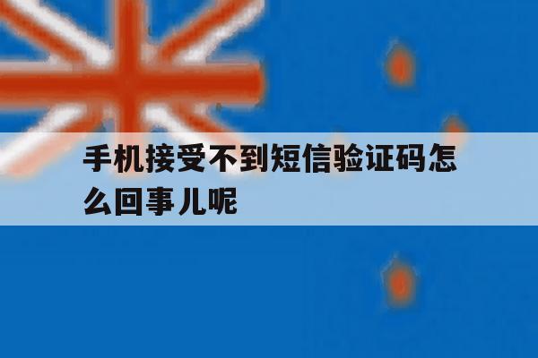 手机接受不到短信验证码怎么回事儿呢 手机接受不到短信验证码怎么回事儿呢