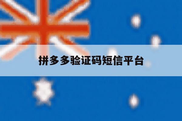 拼多多验证码短信平台 拼多多验证码短信平台