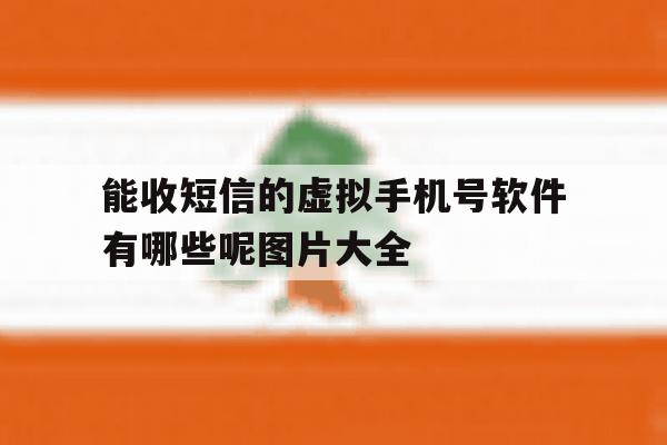 能收短信的虚拟手机号软件有哪些呢图片大全 能收短信的虚拟手机号软件有哪些呢图片大全