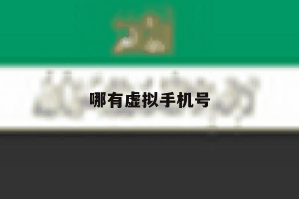 哪有虚拟手机号 哪有虚拟手机号
