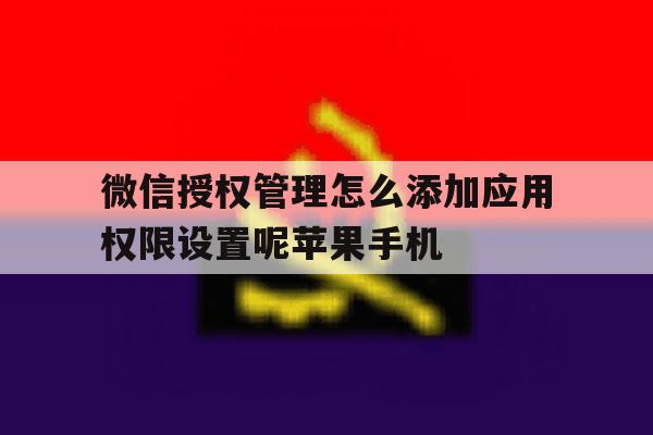 微信授权管理怎么添加应用权限设置呢苹果手机的简单介绍 微信授权管理怎么添加应用权限设置呢苹果手机的简单介绍