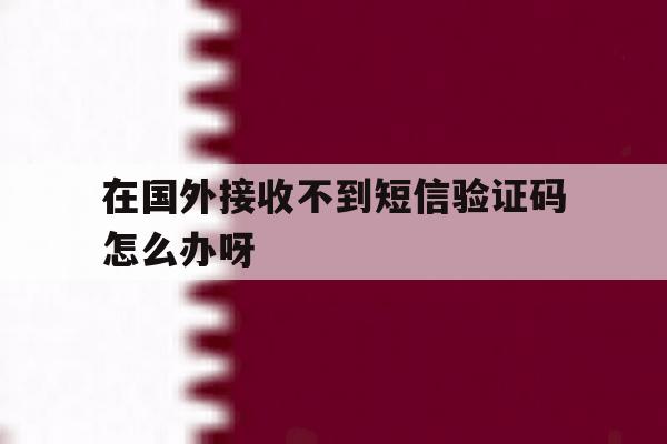 在国外接收不到短信验证码怎么办呀 在国外接收不到短信验证码怎么办呀