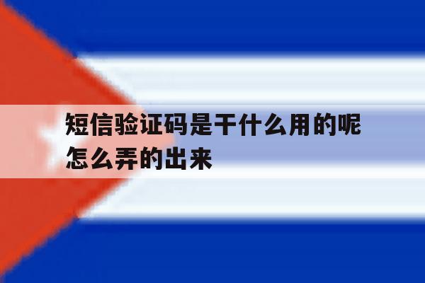 短信验证码是干什么用的呢怎么弄的出来 短信验证码是干什么用的呢怎么弄的出来