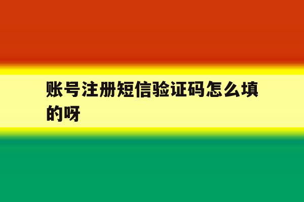 账号注册短信验证码怎么填的呀 账号注册短信验证码怎么填的呀