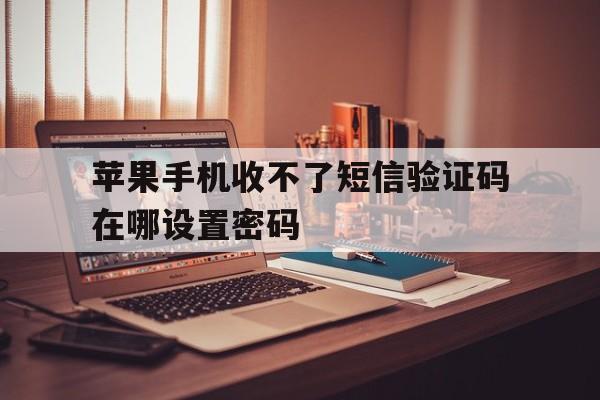 苹果手机收不了短信验证码在哪设置密码 苹果手机收不了短信验证码在哪设置密码