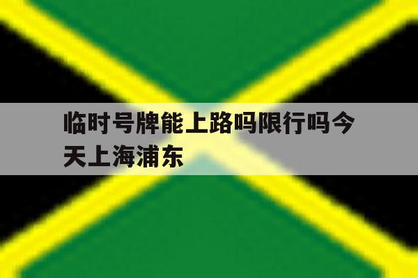临时号牌能上路吗限行吗今天上海浦东 临时号牌能上路吗限行吗今天上海浦东