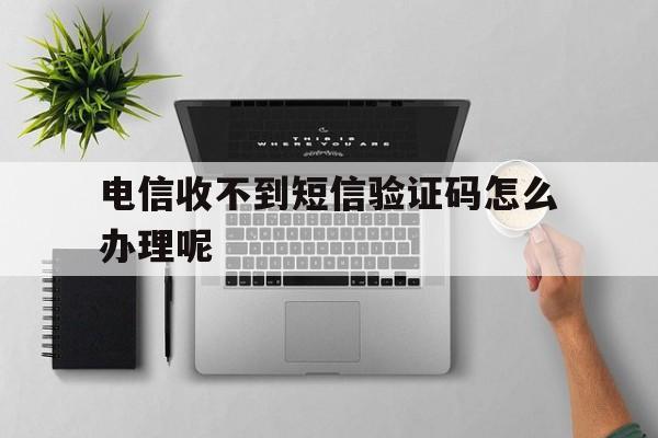 电信收不到短信验证码怎么办理呢 电信收不到短信验证码怎么办理呢