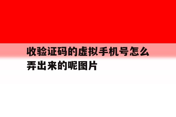 收验证码的虚拟手机号怎么弄出来的呢图片的简单介绍 收验证码的虚拟手机号怎么弄出来的呢图片的简单介绍