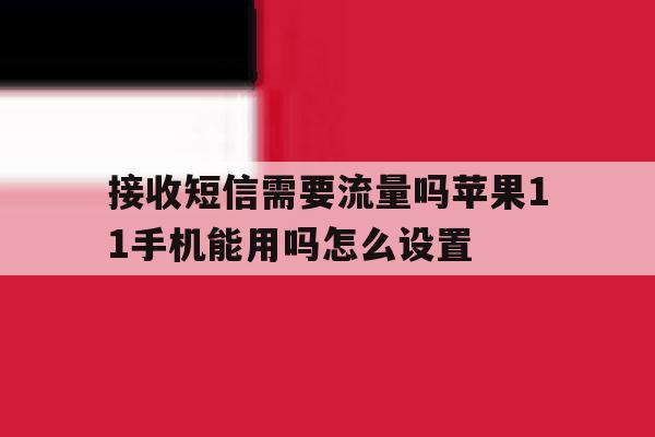 接收短信需要流量吗苹果11手机能用吗怎么设置的简单介绍 接收短信需要流量吗苹果11手机能用吗怎么设置的简单介绍