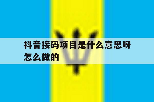 抖音接码项目是什么意思呀怎么做的 抖音接码项目是什么意思呀怎么做的