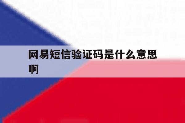 网易短信验证码是什么意思啊 网易短信验证码是什么意思啊