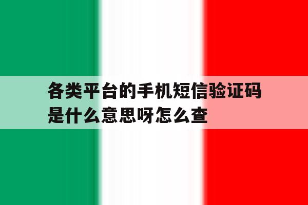 包含各类平台的手机短信验证码是什么意思呀怎么查的词条 包含各类平台的手机短信验证码是什么意思呀怎么查的词条