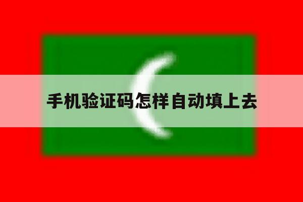 手机验证码怎样自动填上去 手机验证码怎样自动填上去