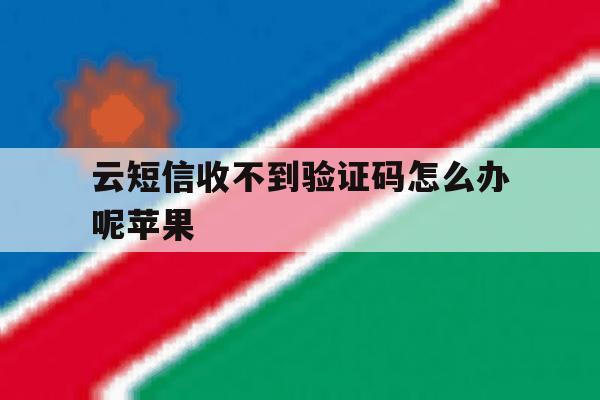 云短信收不到验证码怎么办呢苹果 云短信收不到验证码怎么办呢苹果