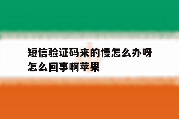 短信验证码来的慢怎么办呀怎么回事啊苹果 短信验证码来的慢怎么办呀怎么回事啊苹果
