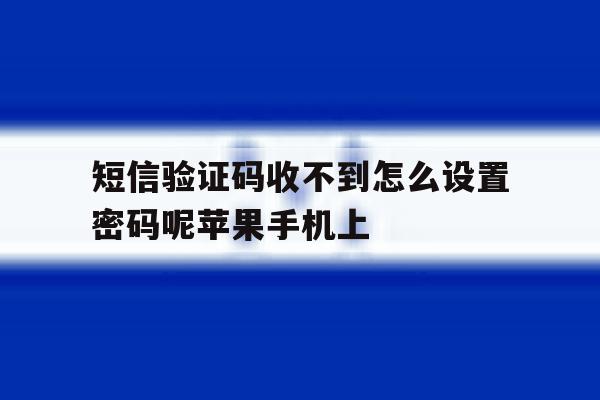 短信验证码收不到怎么设置密码呢苹果手机上 短信验证码收不到怎么设置密码呢苹果手机上
