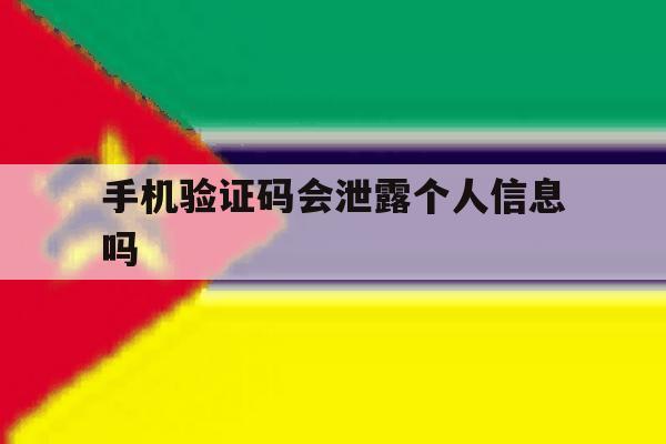 手机验证码会泄露个人信息吗 手机验证码会泄露个人信息吗